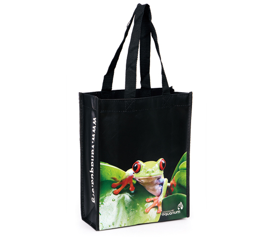 Non-Woven Lamination Bag