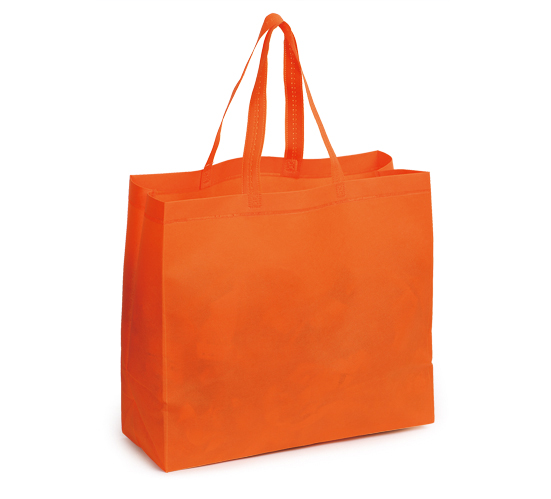 Non-woven PP Bag